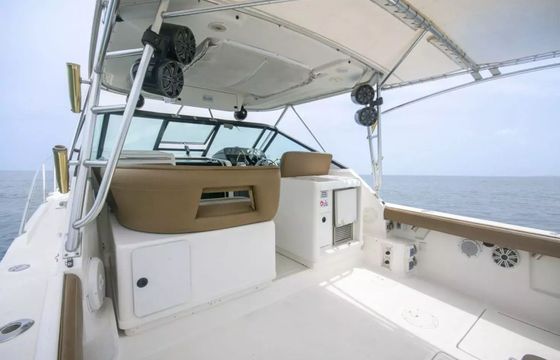 Bertram 31 La Lokal