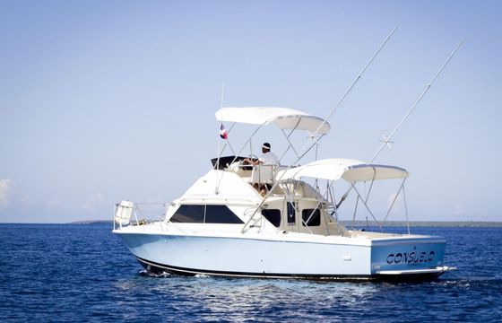 Bertram 28 Flybridge Consuelo