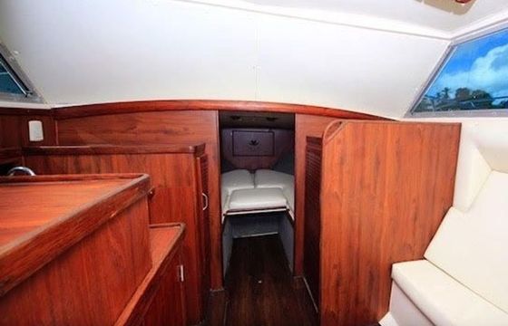 Bertram 28 Flybridge Consuelo