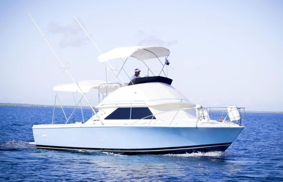 Bertram 28 Flybridge Consuelo