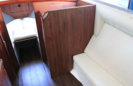 Bertram 28 Flybridge Consuelo