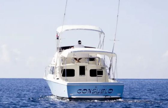 Bertram 28 Flybridge Consuelo