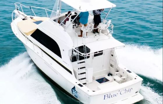 Bertram 35 Blue Chip