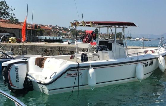 Boston Whaler 26 Outrage Outrage