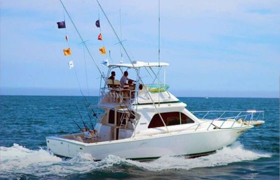 Bertram 42 Bucaner