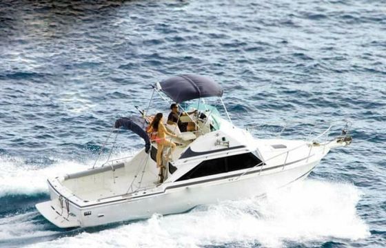 Bertram 28 Flybridge Sea Passion