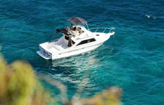 Bertram 28 Flybridge Sea Passion