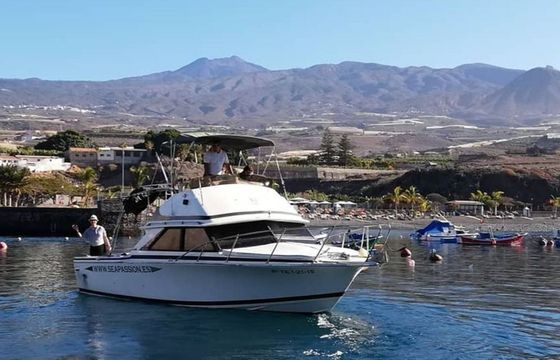 Bertram 28 Flybridge Sea Passion