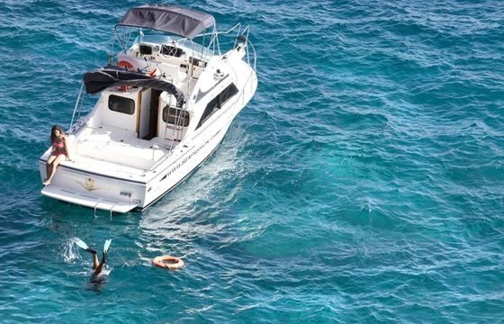 Bertram 28 Flybridge Sea Passion