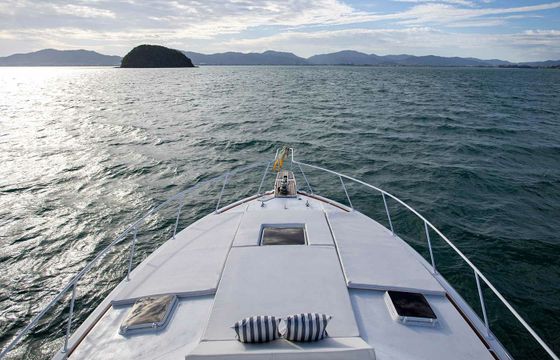 Bertram 50 Odyssey 2