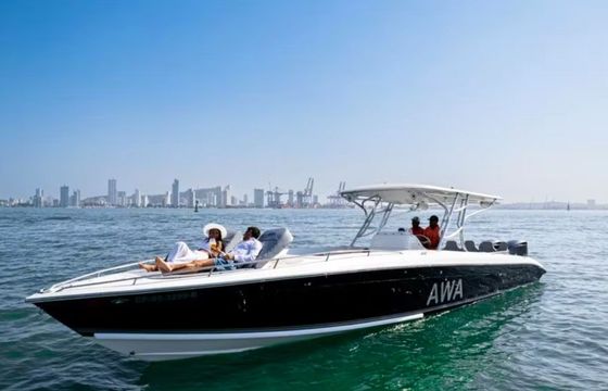 Bravo 410 AWA