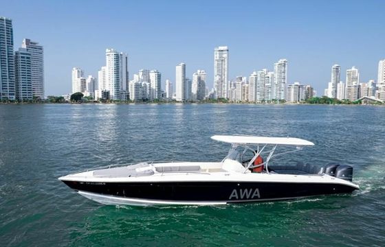 Bravo 410 AWA