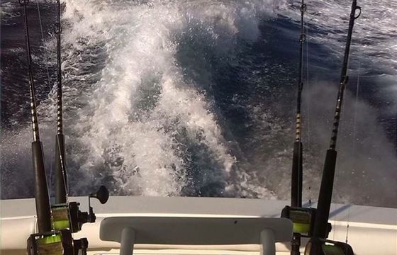 Black Fin 38 Predator