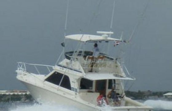 Black Fin 38 Predator