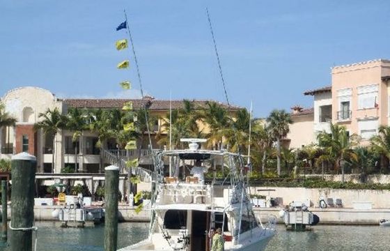 Black Fin 38 Predator