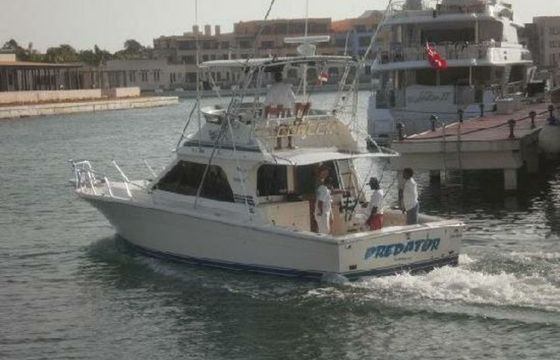 Black Fin 38 Predator