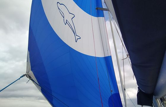 Beneteau Oceanis Clipper 411 Blue Dolphin