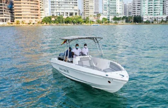 Bravo 280 Buena Vibra 21