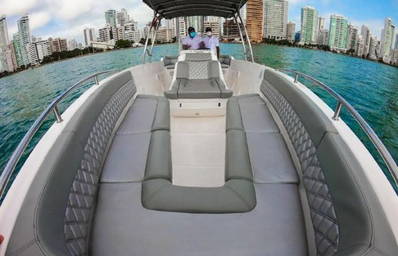 Bravo 280 Buena Vibra 21