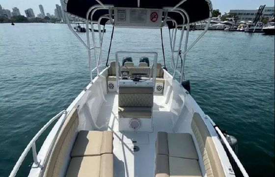 Bravo 290 La chichi 2