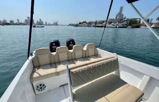 Bravo 290 La chichi 2