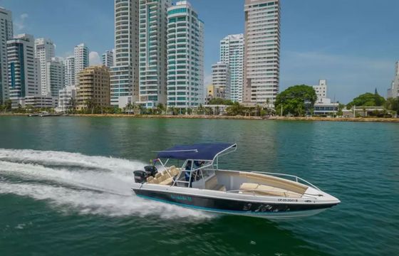 Bravo 290 La chichi 2