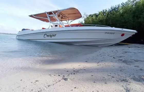 Bravo 300 Crespa