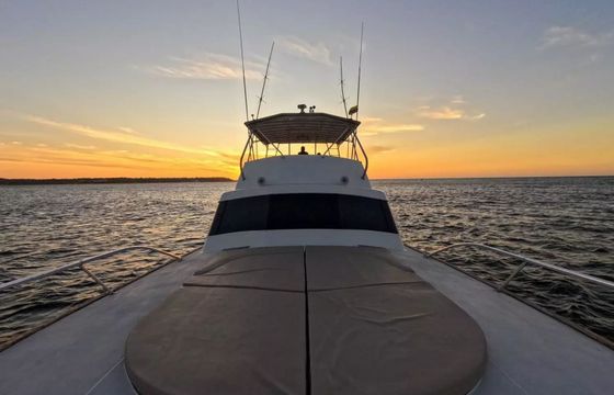 Buddy Davis 61 Odyssey