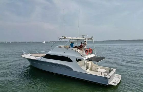 Buddy Davis 61 Odyssey