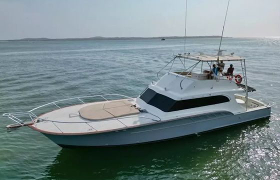 Buddy Davis 61 Odyssey