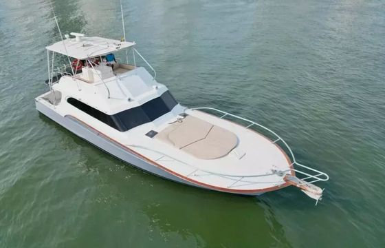 Buddy Davis 61 Odyssey