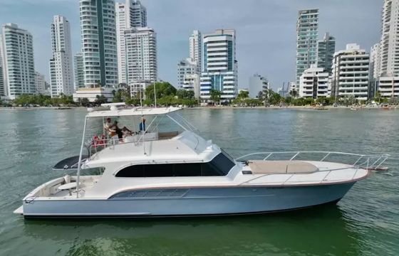 Buddy Davis 61 Odyssey