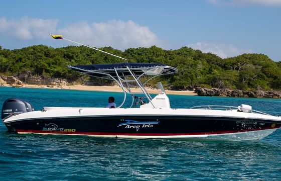 Bravo 290 Arco Iris 5