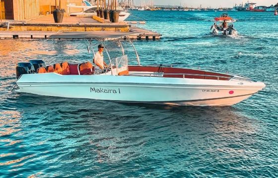 Bravo 290 Makaira 1
