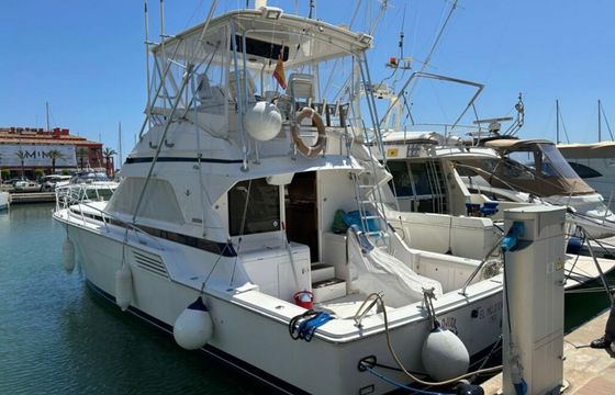 Bertram 46 El Mojito 2