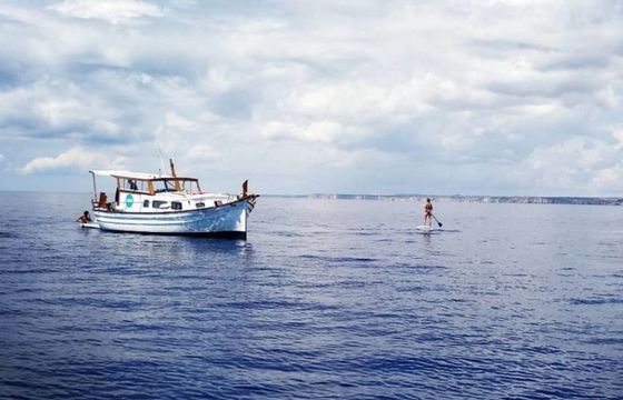 Capeador 10 Binifabini