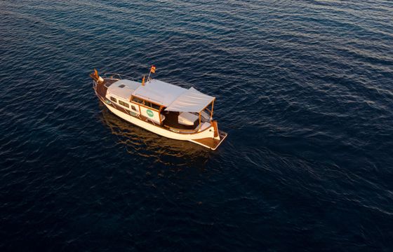 Capeador 10 Binifabini
