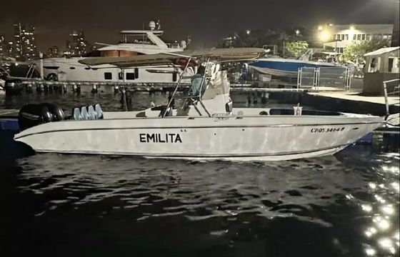Bravo 290 Emilita