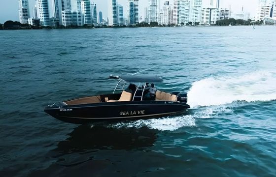 Bravo 290 Sea La Vie