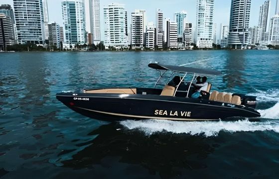Bravo 290 Sea La Vie