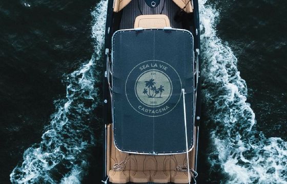 Bravo 290 Sea La Vie