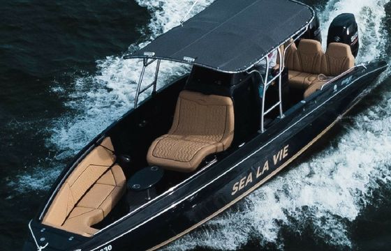 Bravo 290 Sea La Vie