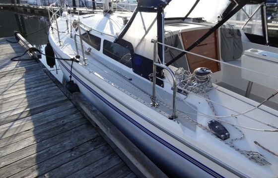 Catalina 36 Desiderata
