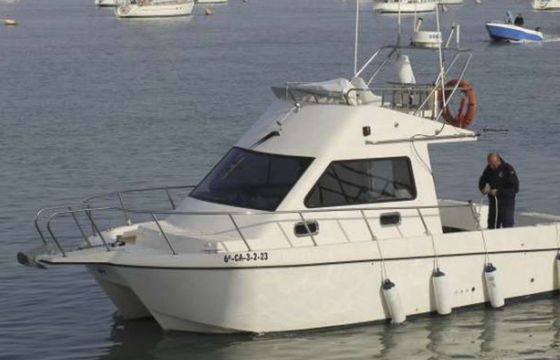 Cata 286 Albarcocom