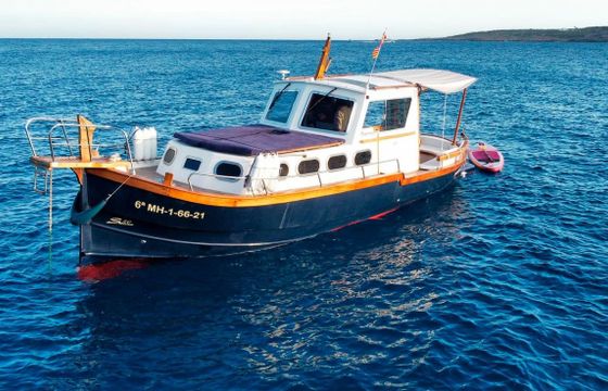 Capeador Saura 50 Sant Antoni
