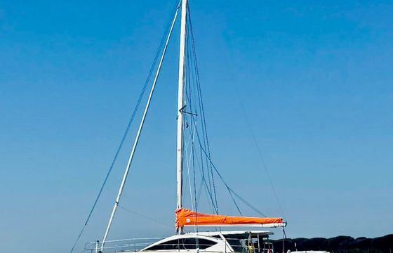C Cat 37 Amuni