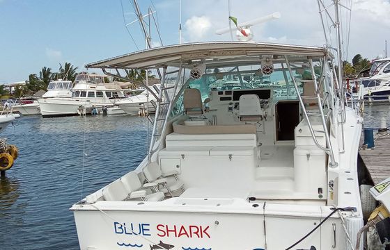 Cabo 40 Blue Shark