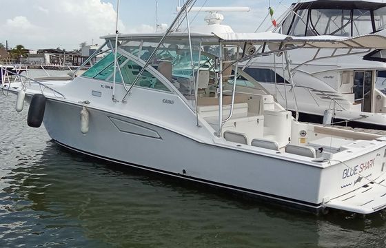 Cabo 40 Blue Shark