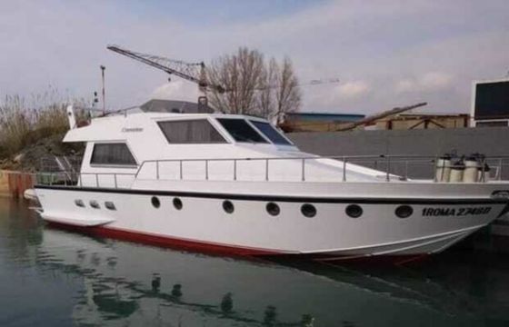 Canados 50 Fly Rosmary 2