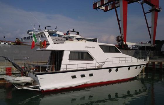 Canados 50 Fly Rosmary 2